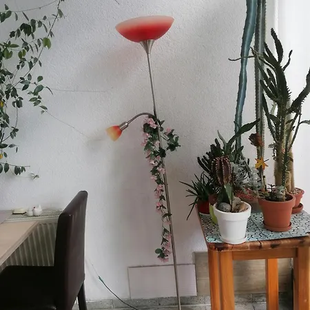 Kleines Haus Im Oderbruch Apartment