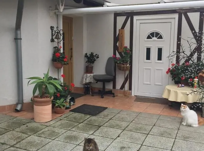 Kleines Haus Im Oderbruch *