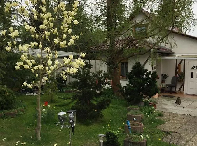 Kleines Haus Im Oderbruch Apartment *